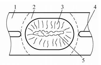 b) Schema della sezione trasversale di una pepita saldata a punti