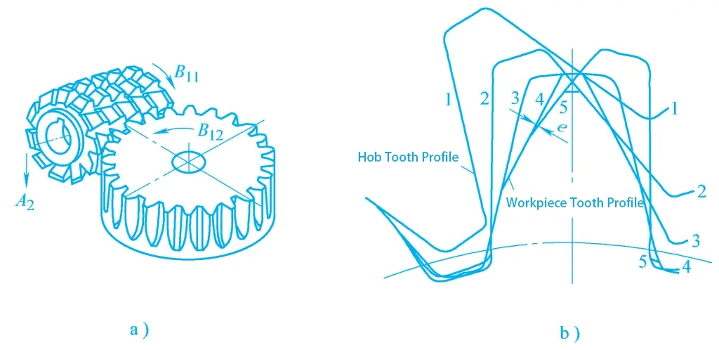 Figura 2 Schema della dentatura a creatore