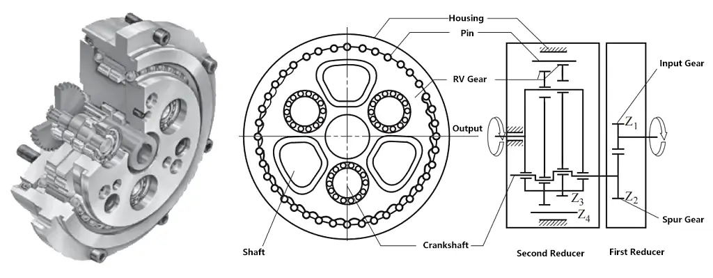 Figure 21 Schéma de la structure du réducteur à roue dentée cycloïdale RV