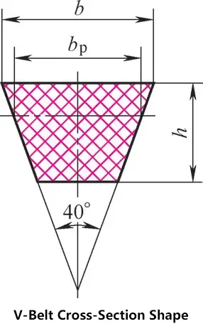 Forme de la section transversale de la courroie trapézoïdale